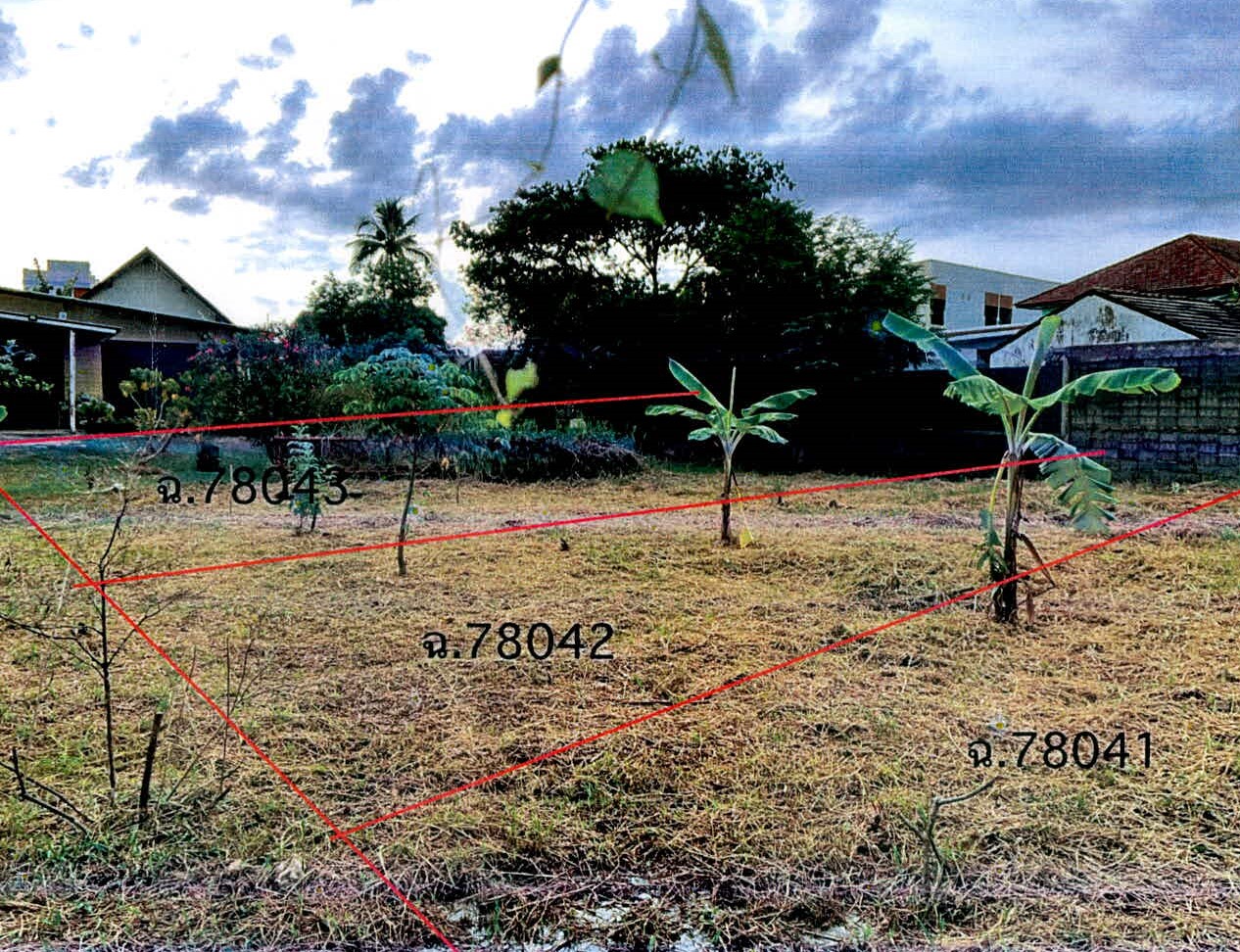 รูปที่ดินพร้อมสิ่งปลูกสร้าง นอกเมือง เมืองสุรินทร์ สุรินทร์
