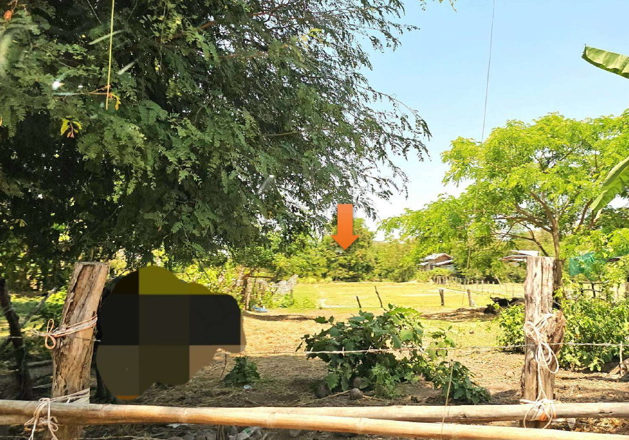รูปที่ดินว่างเปล่า ช้างมิ่ง พรรณานิคม สกลนคร
