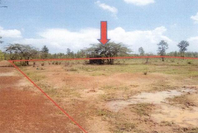 รูปที่ดินว่างเปล่า บะฮี พรรณานิคม สกลนคร