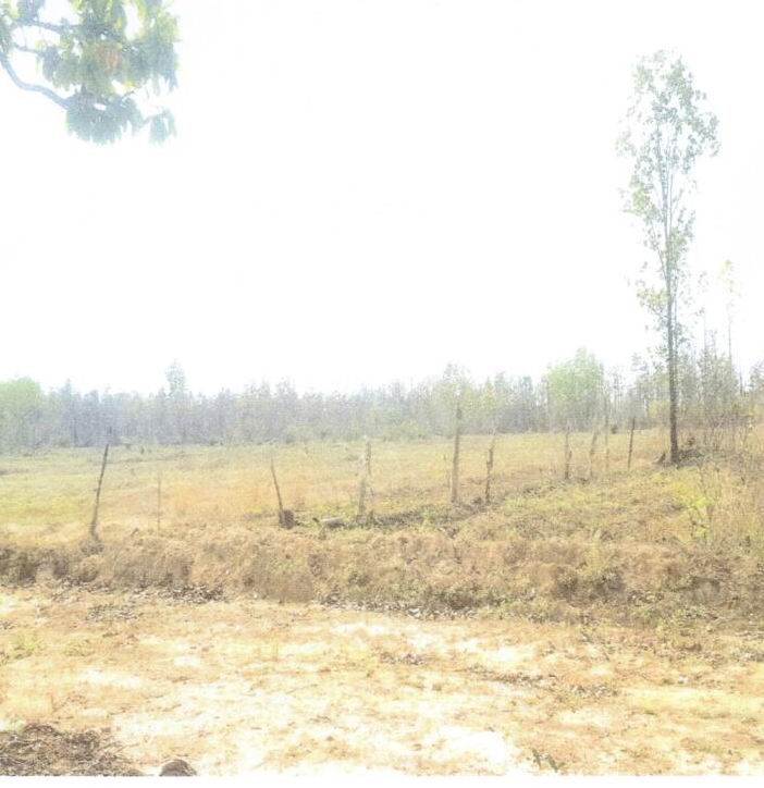 รูปที่ดินว่างเปล่า บะฮี พรรณานิคม สกลนคร