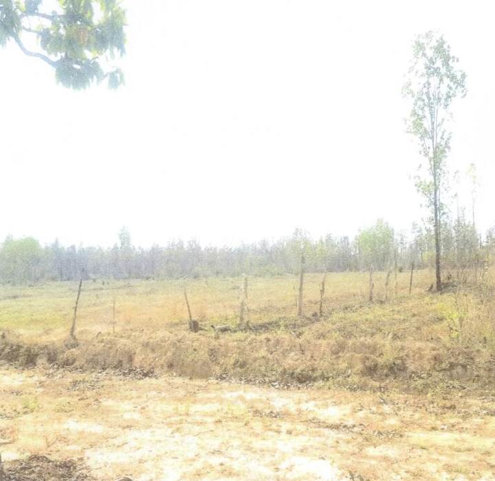 รูปที่ดินว่างเปล่า บะฮี พรรณานิคม สกลนคร