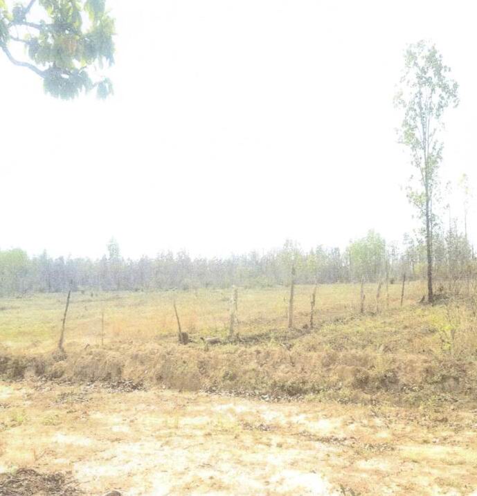 รูปที่ดินว่างเปล่า บะฮี พรรณานิคม สกลนคร