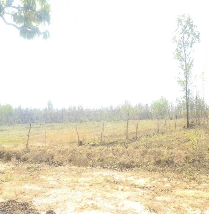 รูปที่ดินว่างเปล่า บะฮี พรรณานิคม สกลนคร