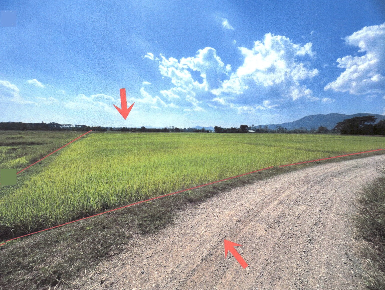 รูปที่ดินว่างเปล่า ร่องกาศ สูงเม่น แพร่