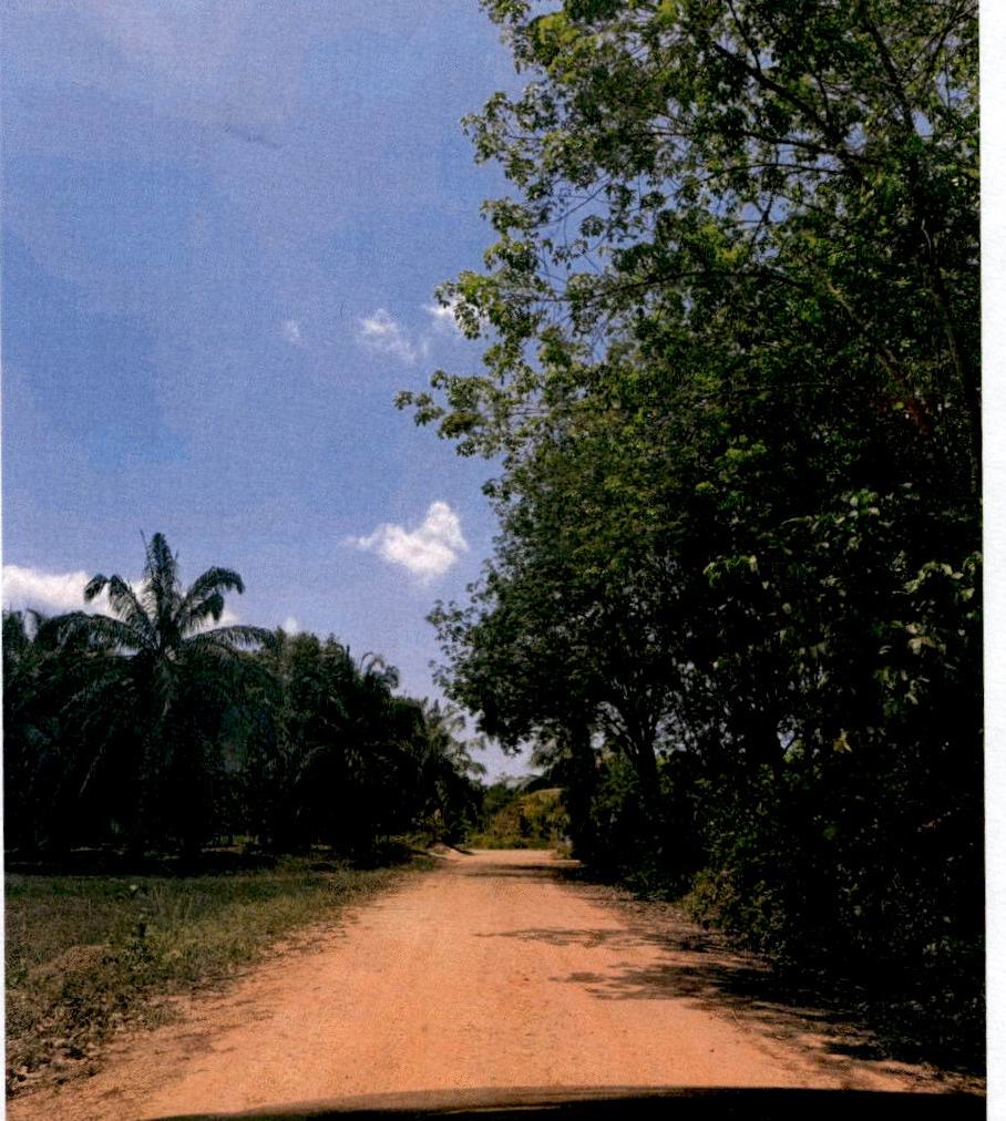 รูปที่ดินว่างเปล่า ศาลาด่าน เกาะลันตา กระบี่