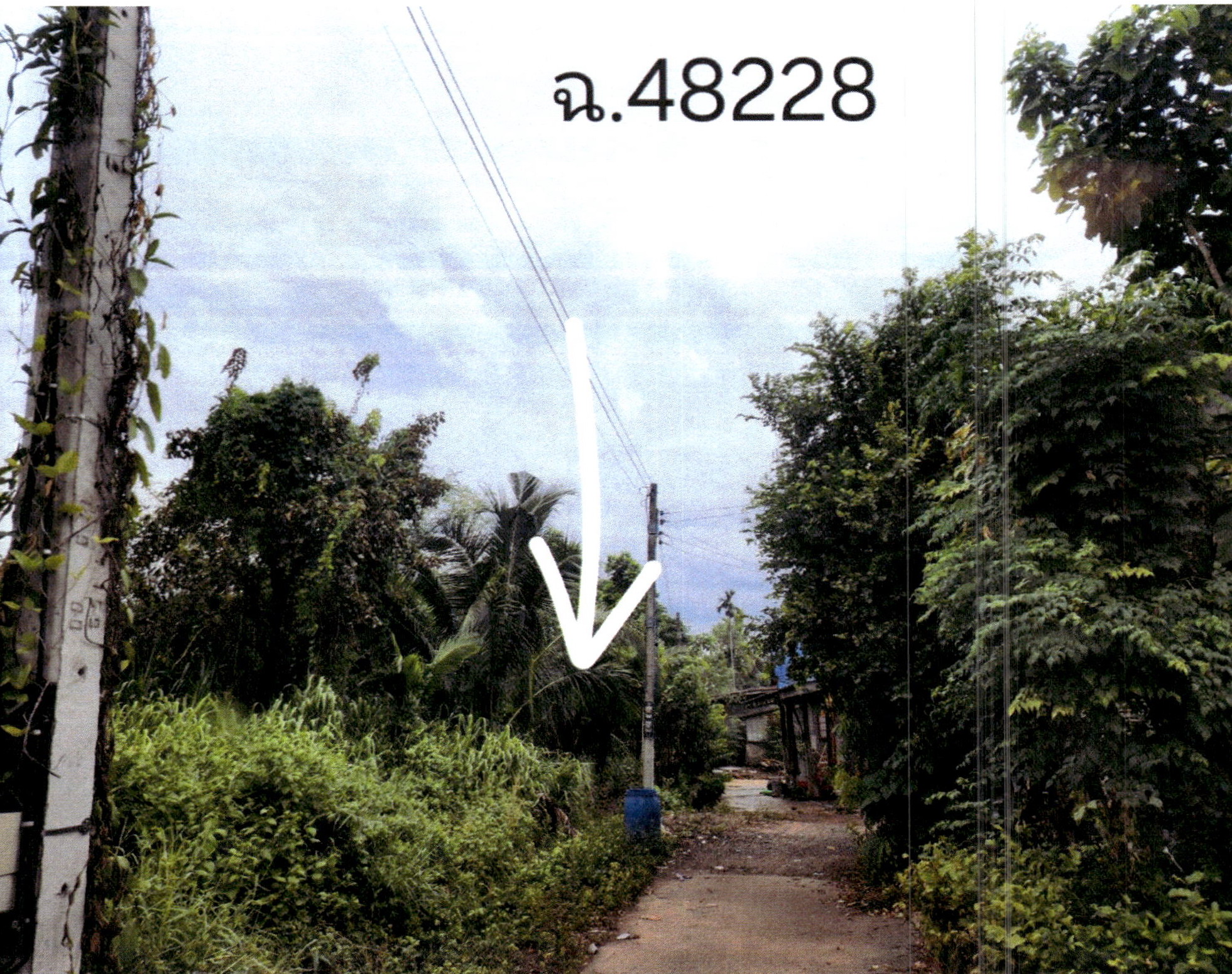 รูปที่ดินว่างเปล่า ด่านเกวียน โชคชัย นครราชสีมา