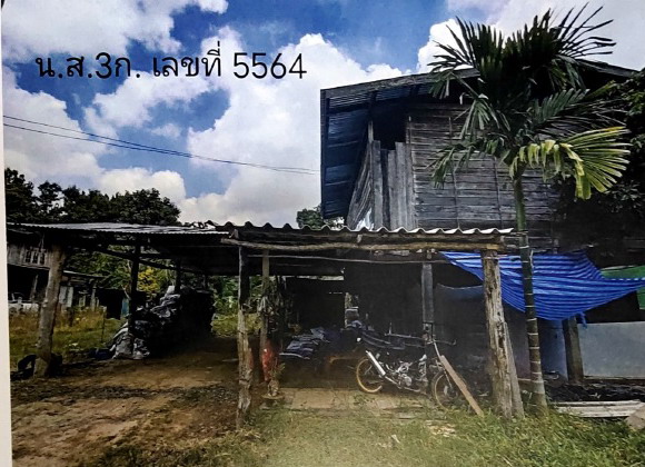 รูปที่ดินพร้อมสิ่งปลูกสร้าง โคกสะอาด ลำปลายมาศ บุรีรัมย์