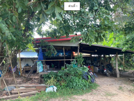 รูปที่ดินพร้อมสิ่งปลูกสร้าง ดอนใหญ่ ศรีเมืองใหม่ อุบลราชธานี