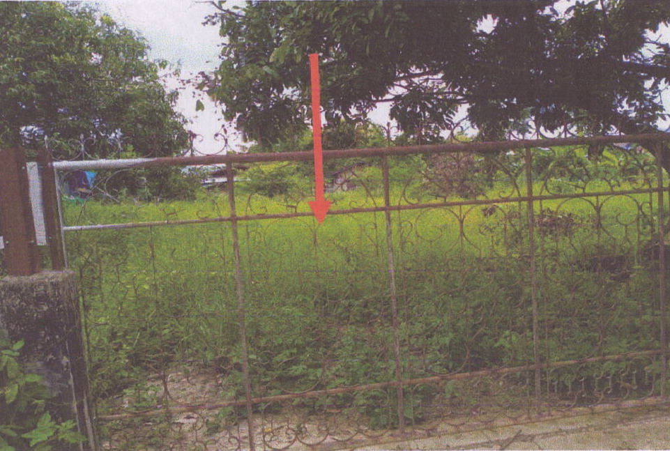 รูปที่ดินว่างเปล่า ทานตะวัน พาน เชียงราย