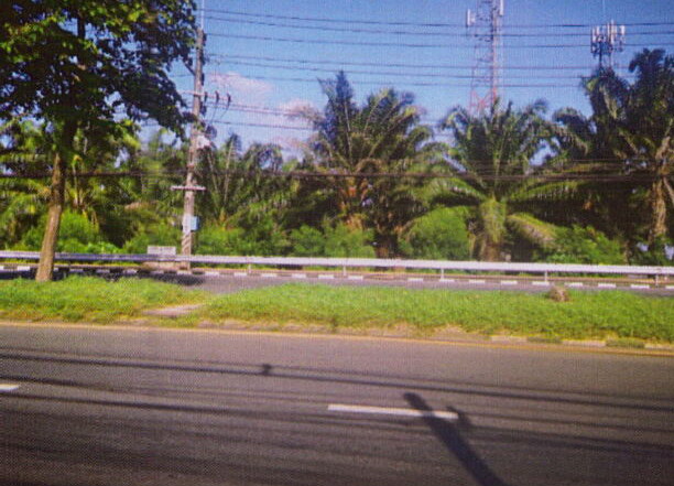 รูปที่ดินว่างเปล่า มะขามเตี้ย เมืองสุราษฎร์ธานี สุราษฎร์ธานี