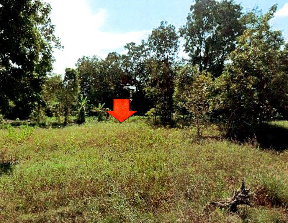รูปที่ดินว่างเปล่า บ้านผือ จอมพระ สุรินทร์