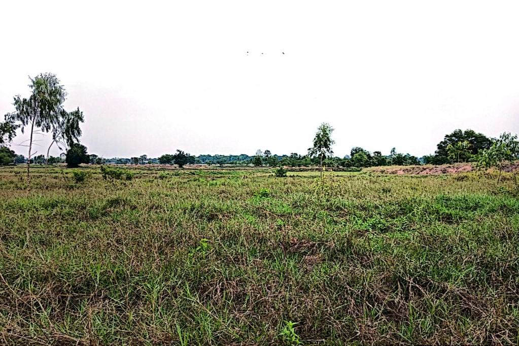 รูปที่ดินว่างเปล่า ท่าศาลา มัญจาคีรี ขอนแก่น