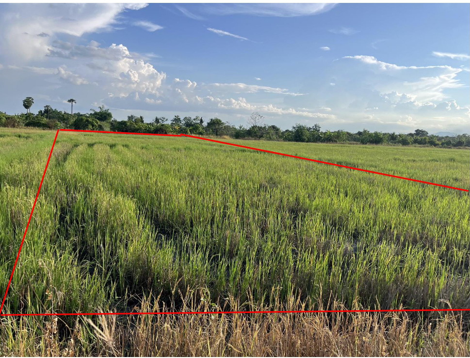 รูปที่ดินว่างเปล่า ศรีดอนมูล เชียงแสน เชียงราย