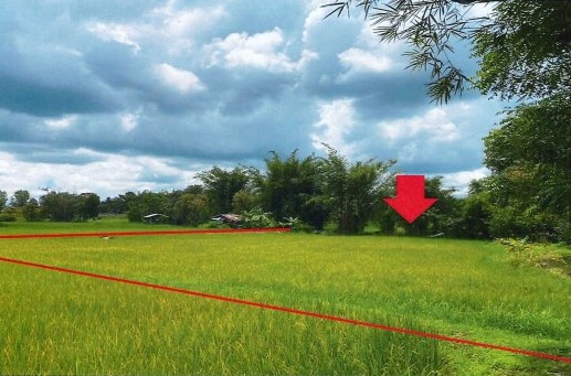 รูปที่ดินว่างเปล่า เหล่าไฮงาม กุฉินารายณ์ กาฬสินธุ์
