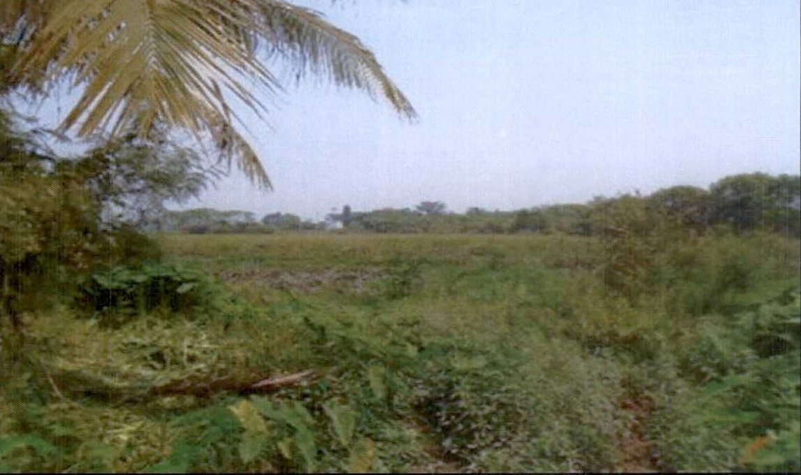 รูปที่ดินว่างเปล่า เมืองพาน พาน เชียงราย