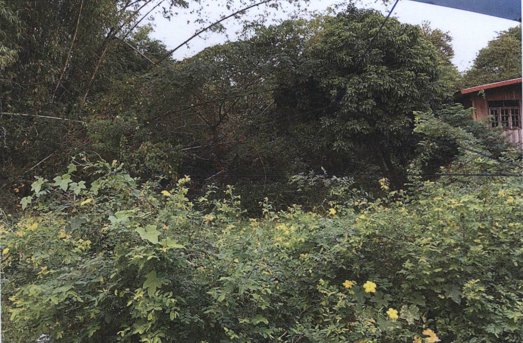 รูปที่ดินว่างเปล่า ไร่ใต้ พิบูลมังสาหาร อุบลราชธานี