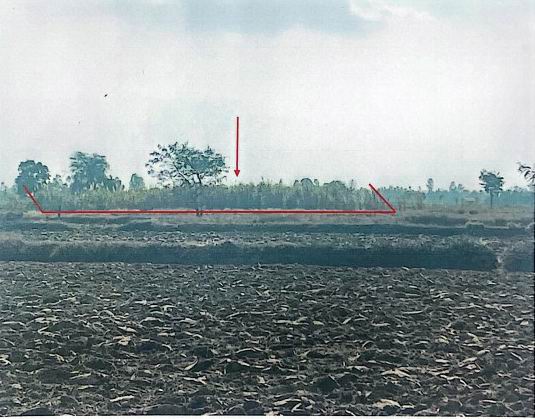 รูปที่ดินว่างเปล่า เชียงใหม่ โพธิ์ชัย ร้อยเอ็ด