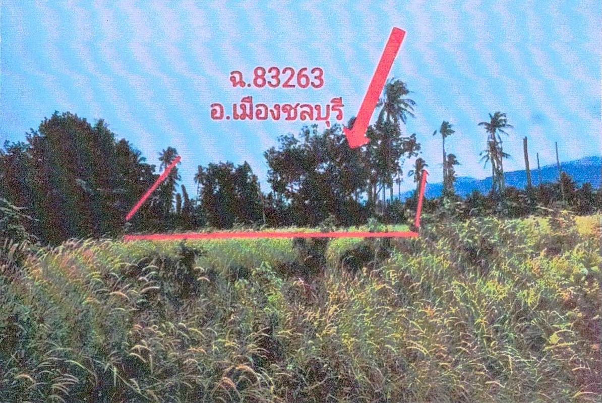 รูปที่ดินว่างเปล่า หนองรี เมืองชลบุรี ชลบุรี