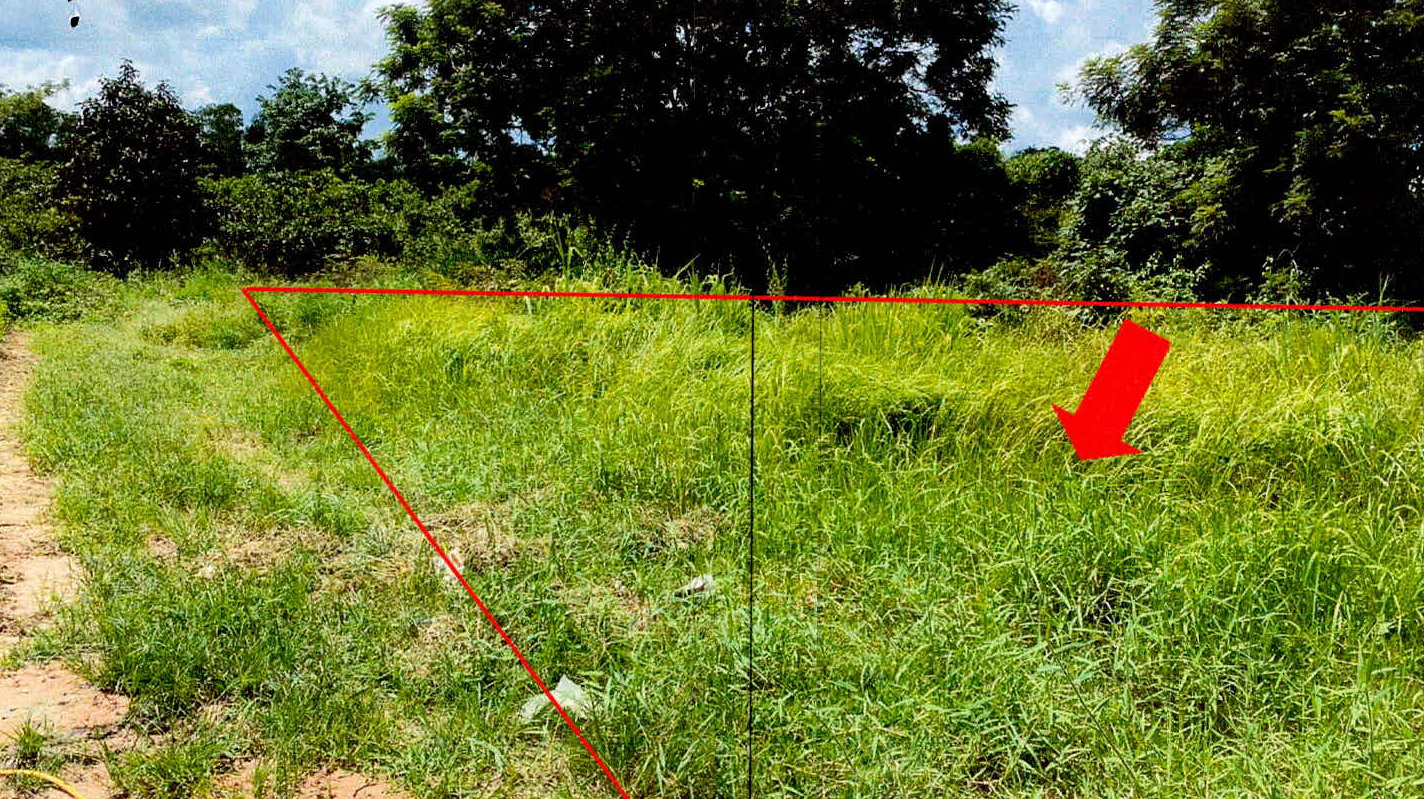รูปที่ดินว่างเปล่า หนองไข่นก ม่วงสามสิบ อุบลราชธานี