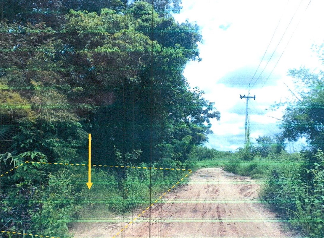 รูปที่ดินว่างเปล่า แก่งโดม สว่างวีระวงศ์ อุบลราชธานี