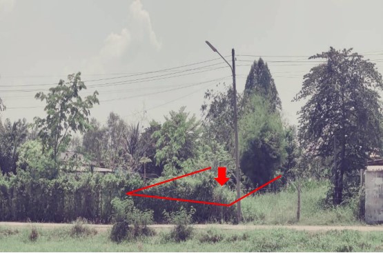 รูปที่ดินว่างเปล่า หัวรอ เมืองพิษณุโลก พิษณุโลก