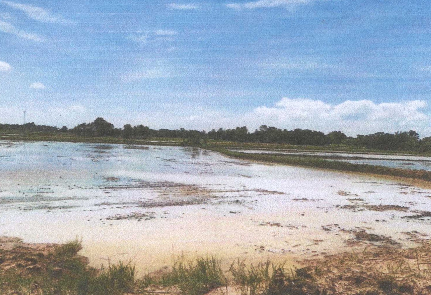 รูปที่ดินว่างเปล่า ท่าตูม เมืองมหาสารคาม มหาสารคาม