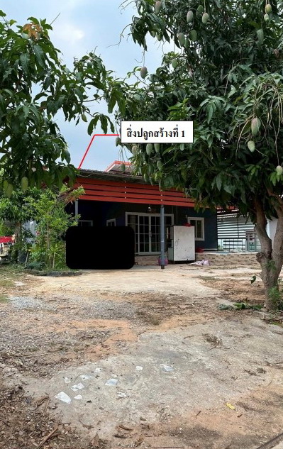 รูปที่ดินพร้อมสิ่งปลูกสร้าง หนองแวง สมเด็จ กาฬสินธุ์