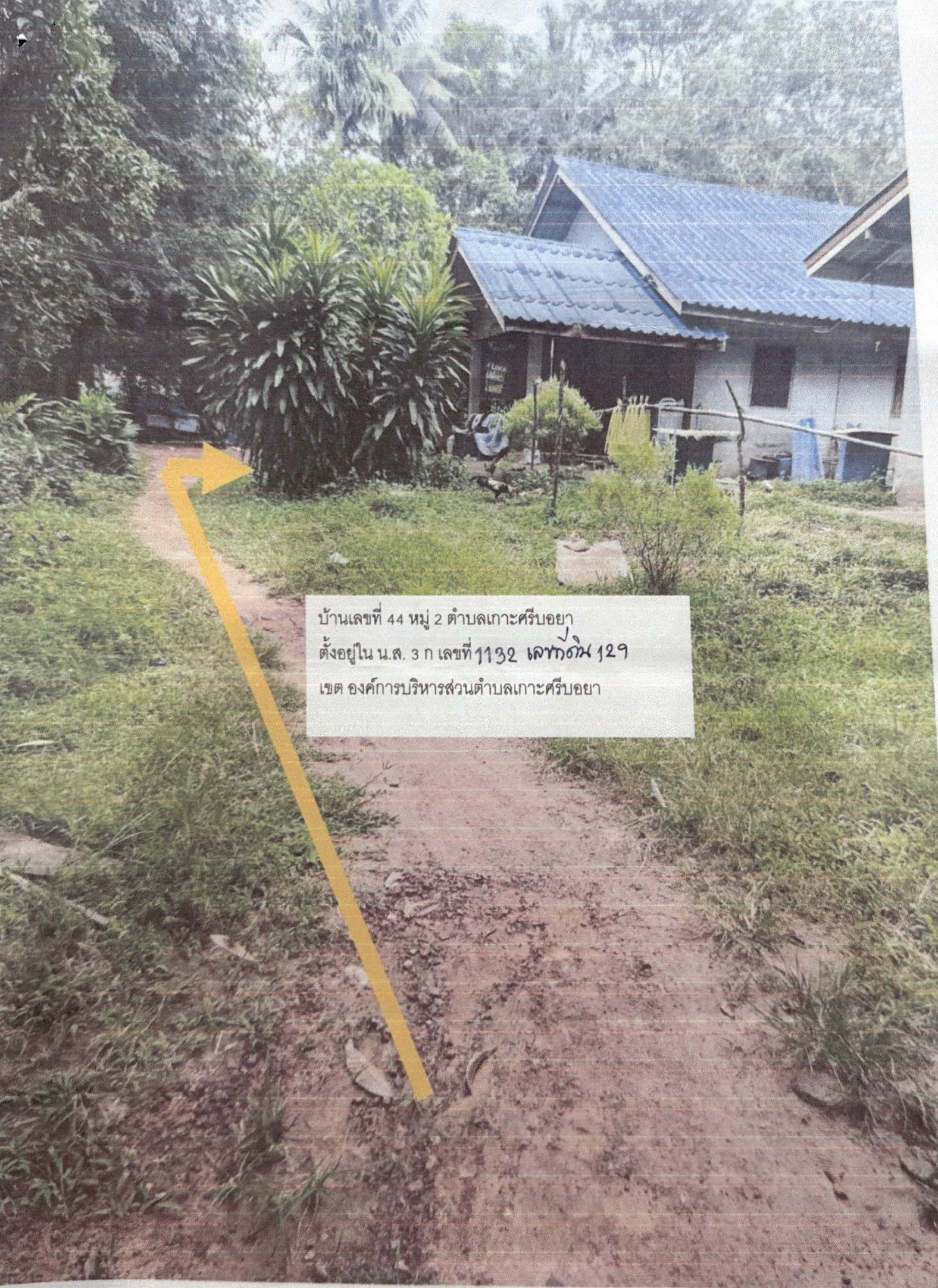 รูปที่ดินพร้อมสิ่งปลูกสร้าง เกาะศรีบอยา เหนือคลอง กระบี่