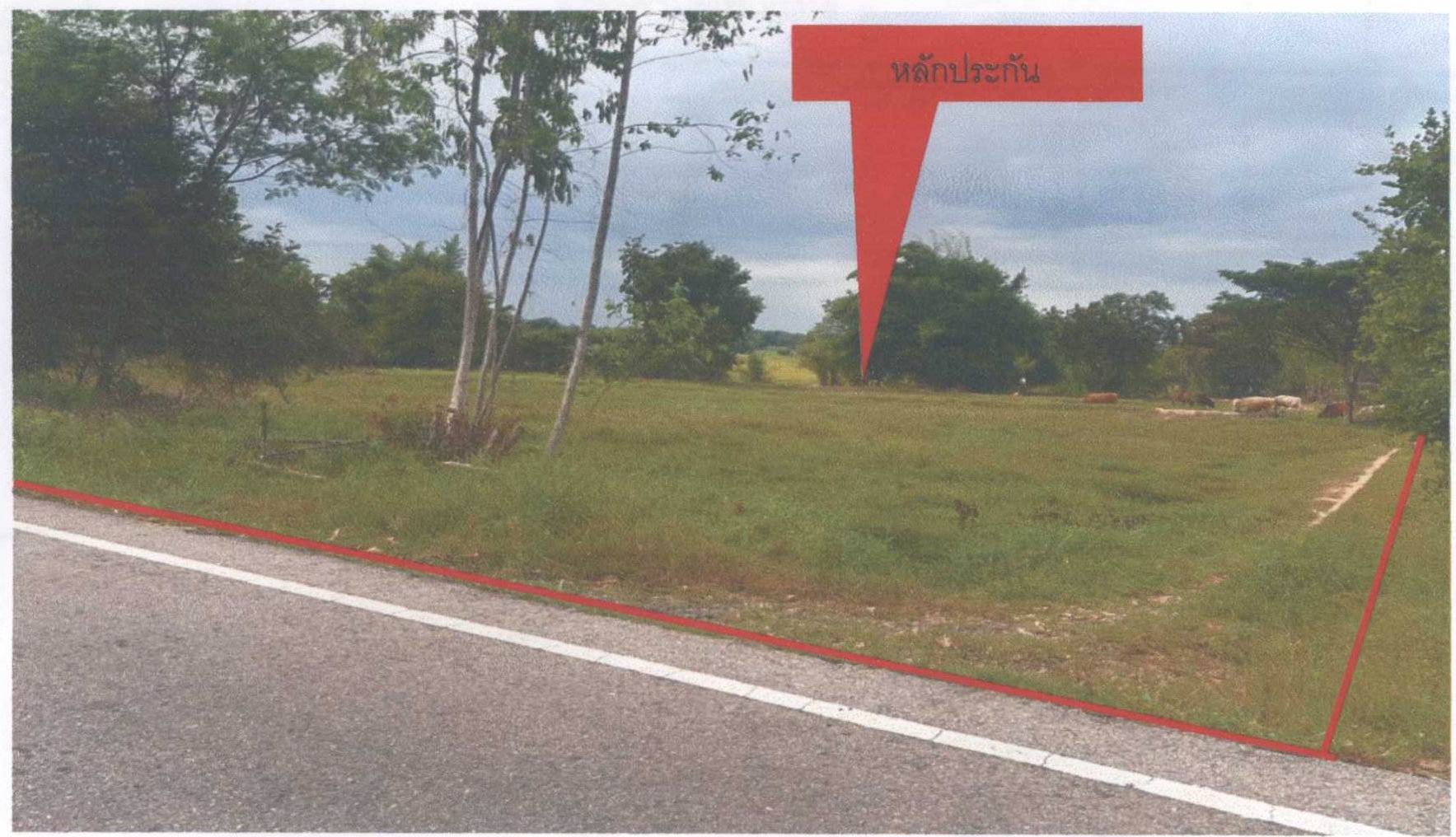 รูปที่ดินว่างเปล่า ท่าสองคอน เมืองมหาสารคาม มหาสารคาม