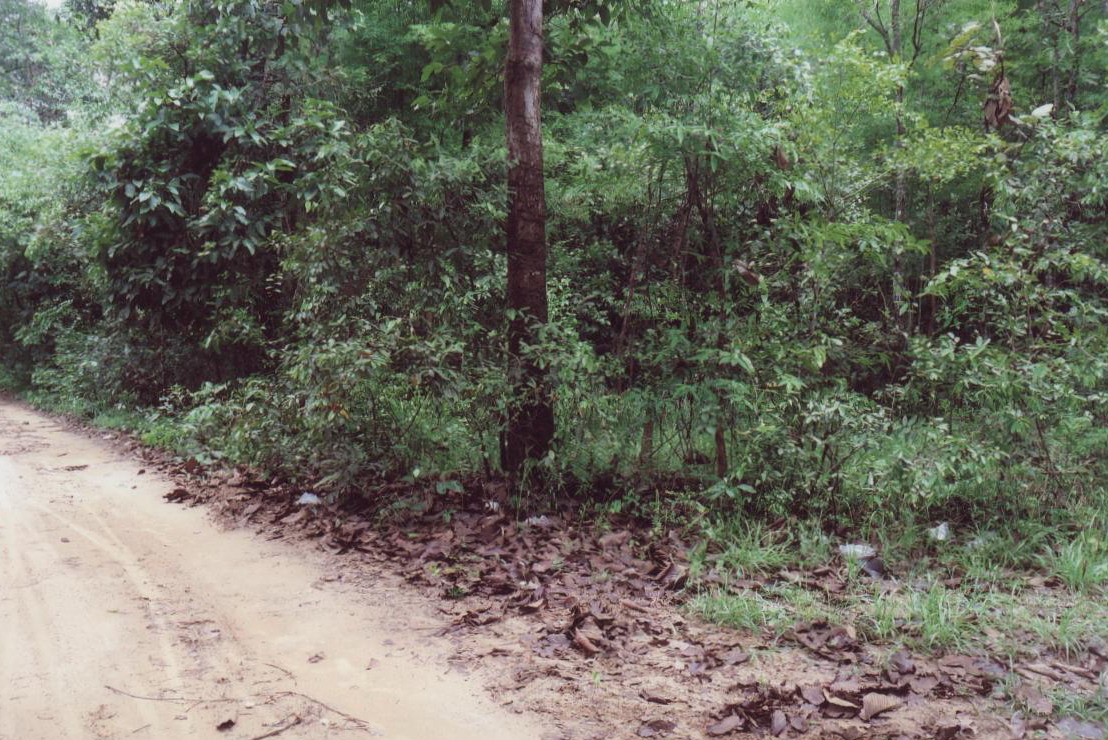 รูปที่ดินว่างเปล่า โนนโหนน วารินชำราบ อุบลราชธานี