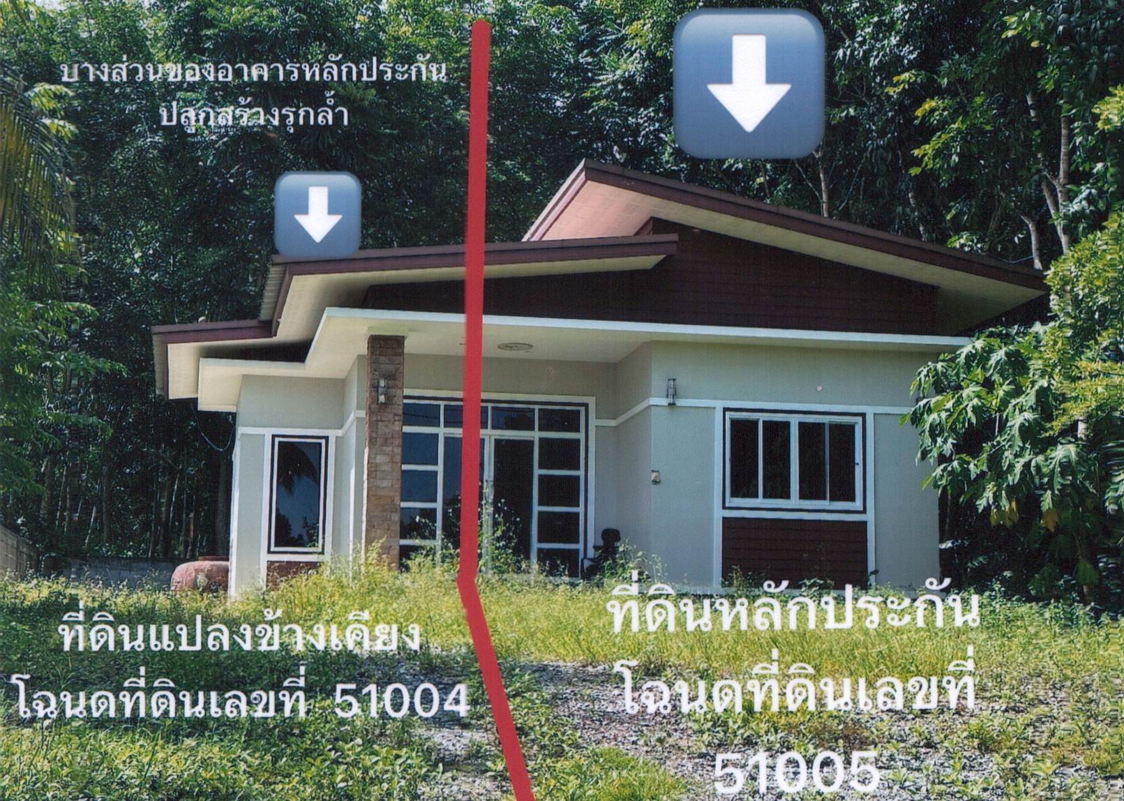 รูปที่ดินพร้อมสิ่งปลูกสร้าง กะปาง ทุ่งสง นครศรีธรรมราช