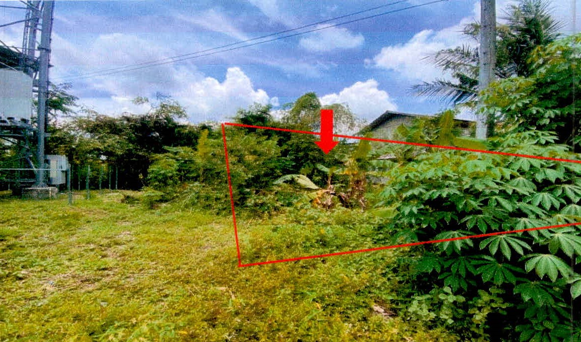 รูปที่ดินว่างเปล่า ยางชุมใหญ่ ยางชุมน้อย ศรีสะเกษ