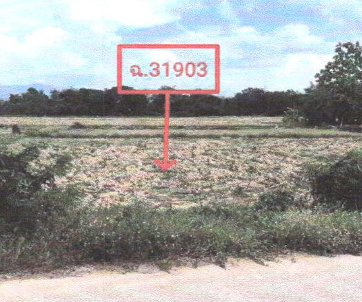 รูปที่ดินว่างเปล่า ร้องเข็ม ร้องกวาง แพร่