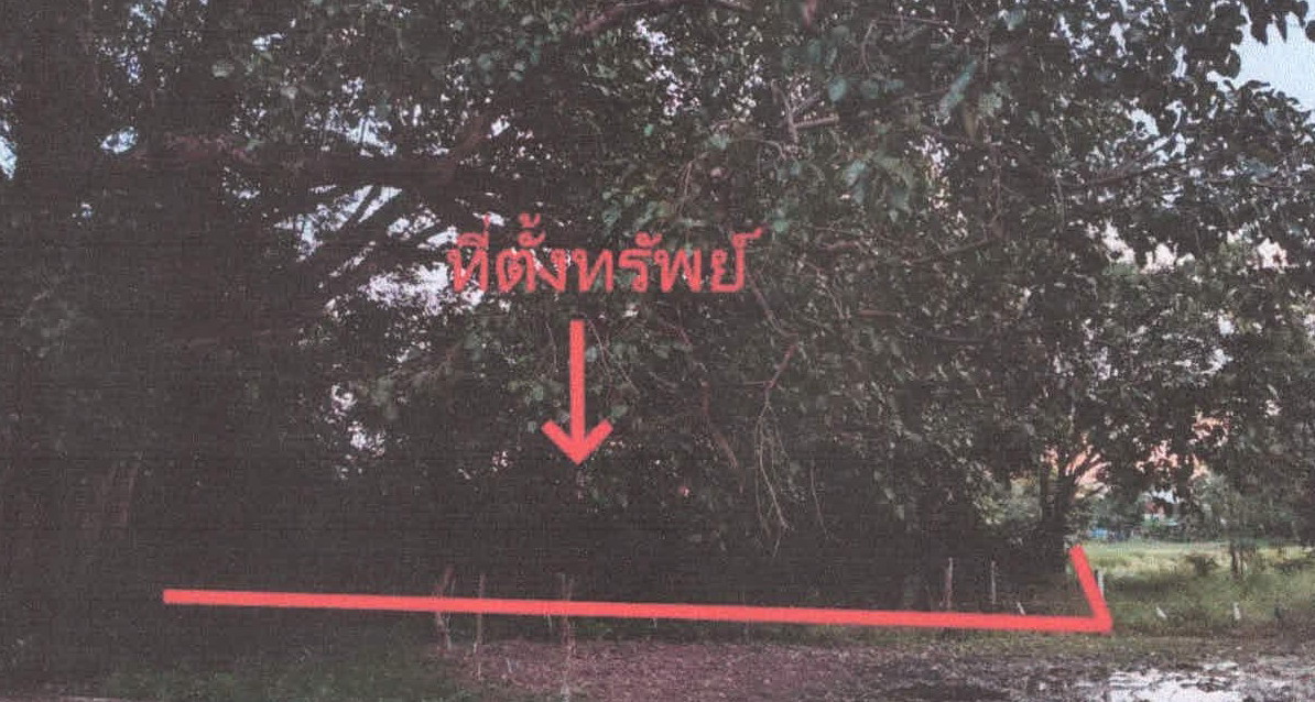 รูปที่ดินว่างเปล่า ราม เมืองสุรินทร์ สุรินทร์