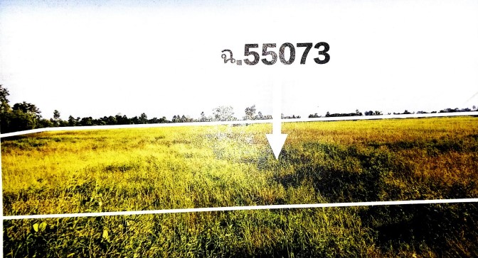 รูปที่ดินว่างเปล่า พันชาลี วังทอง พิษณุโลก