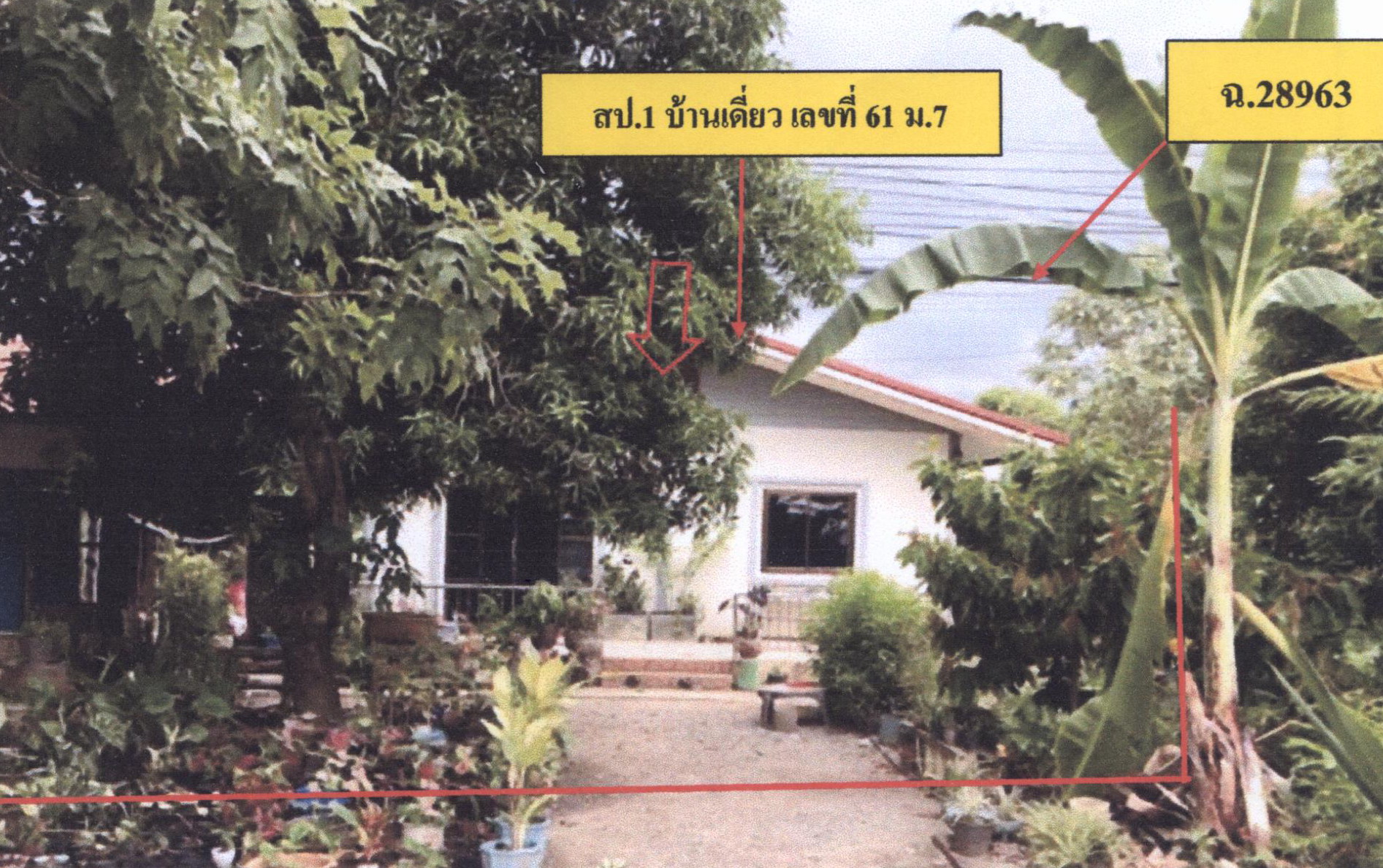 รูปที่ดินพร้อมสิ่งปลูกสร้าง โคกสลุด บางกระทุ่ม พิษณุโลก