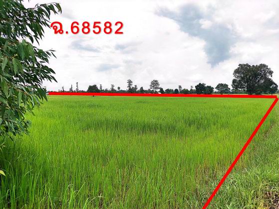รูปที่ดินว่างเปล่า ห้วยขะยุง วารินชำราบ อุบลราชธานี