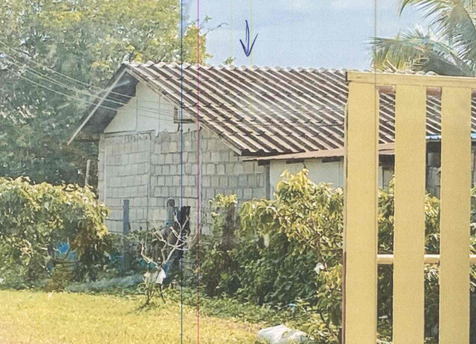รูปที่ดินพร้อมสิ่งปลูกสร้าง แม่แฝกใหม่ สันทราย เชียงใหม่