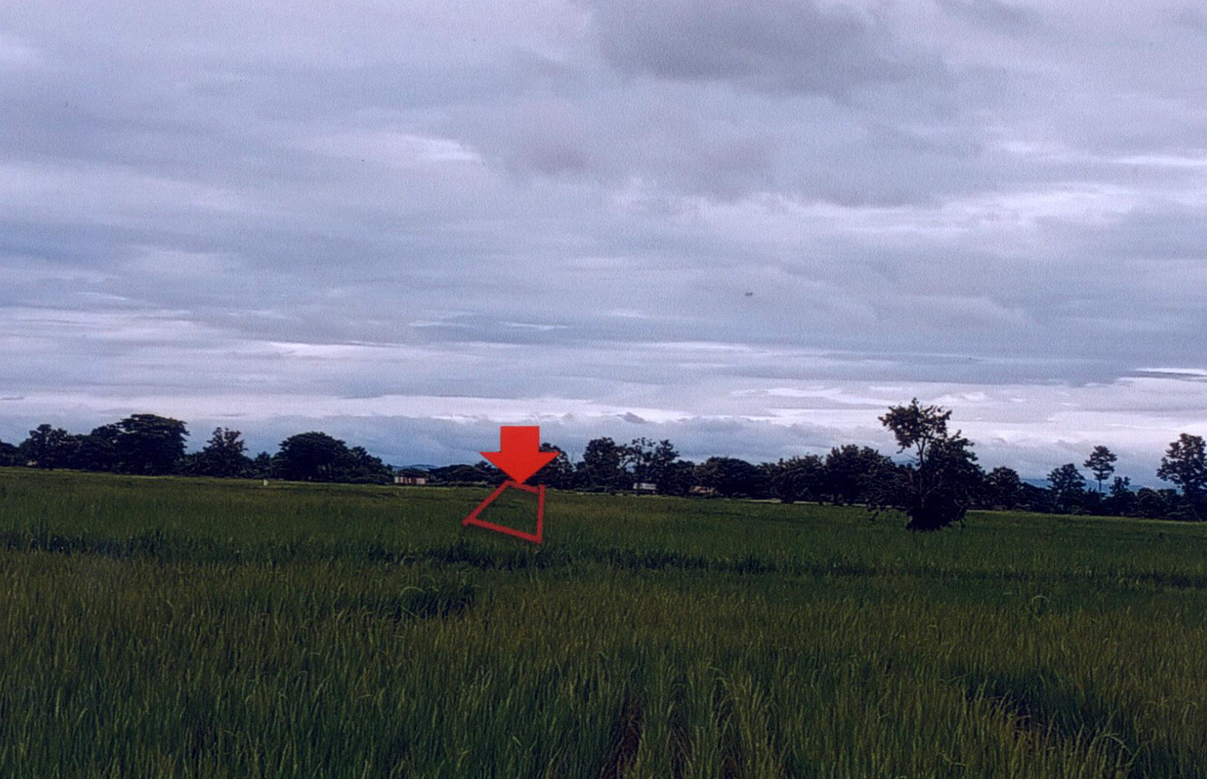 รูปที่ดินว่างเปล่า วังธง เมืองแพร่ แพร่