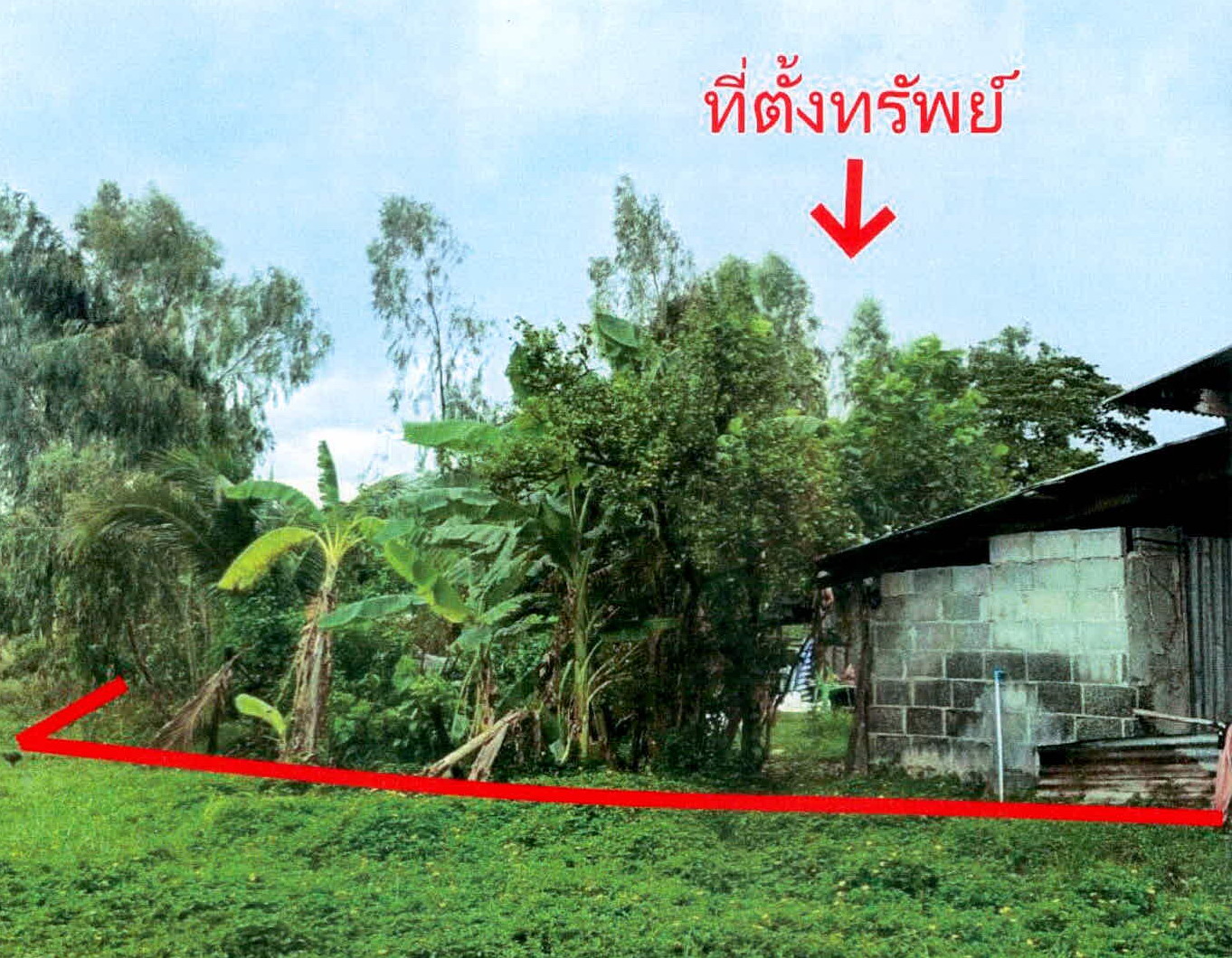 รูปที่ดินพร้อมสิ่งปลูกสร้าง หนองขวาว ศีขรภูมิ สุรินทร์