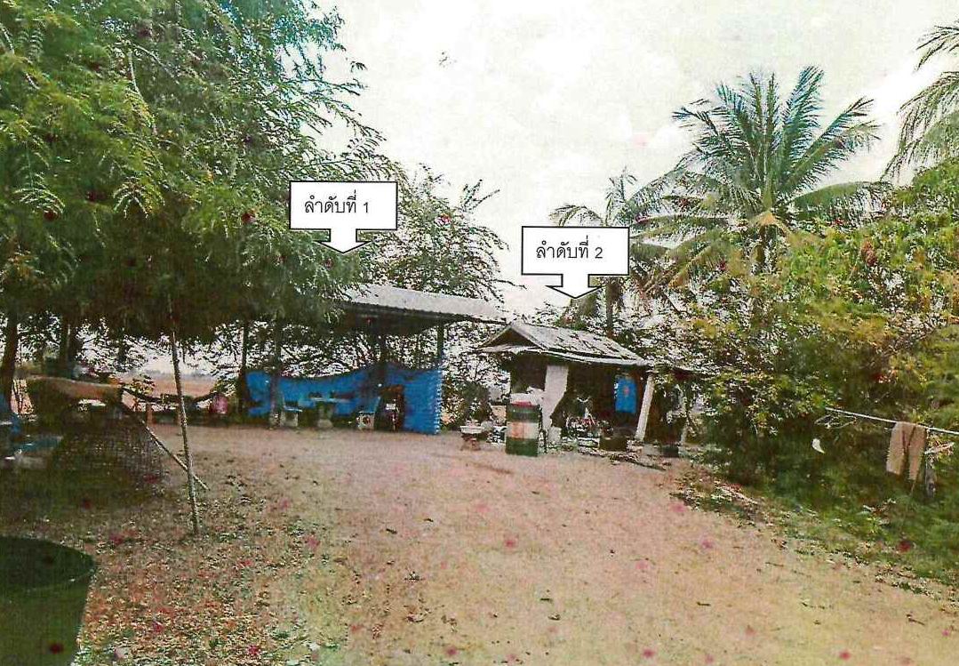 รูปที่ดินพร้อมสิ่งปลูกสร้าง หนองพลวง จักราช นครราชสีมา