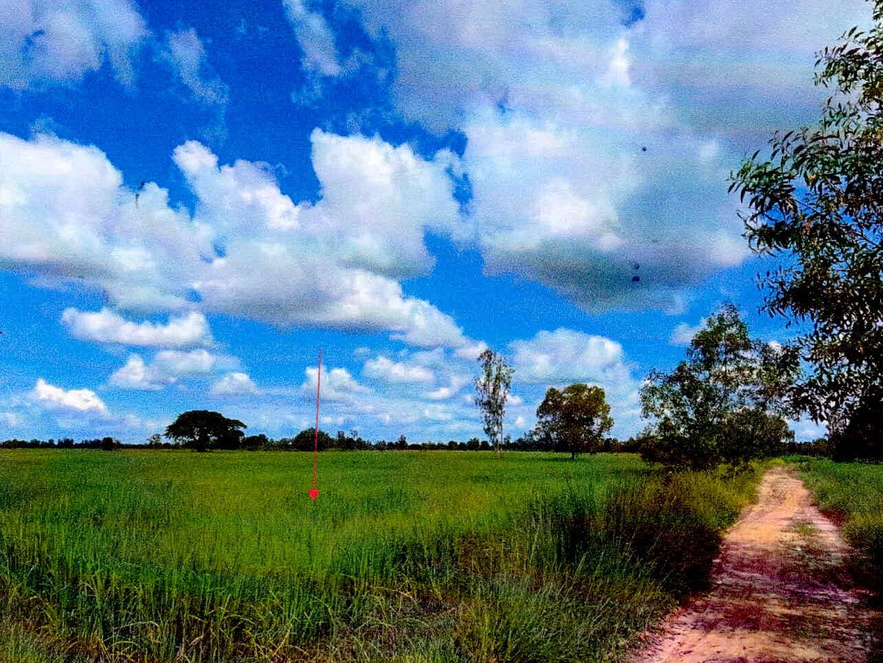 รูปที่ดินว่างเปล่า หนองไฮ เมืองศรีสะเกษ ศรีสะเกษ