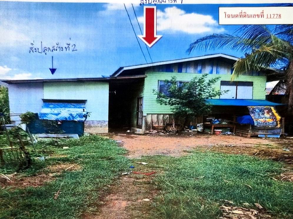รูปที่ดินพร้อมสิ่งปลูกสร้าง กระทุ่มราย(เจียระดับ) หนองจอก(เจียระดับ) กรุงเทพมหานคร