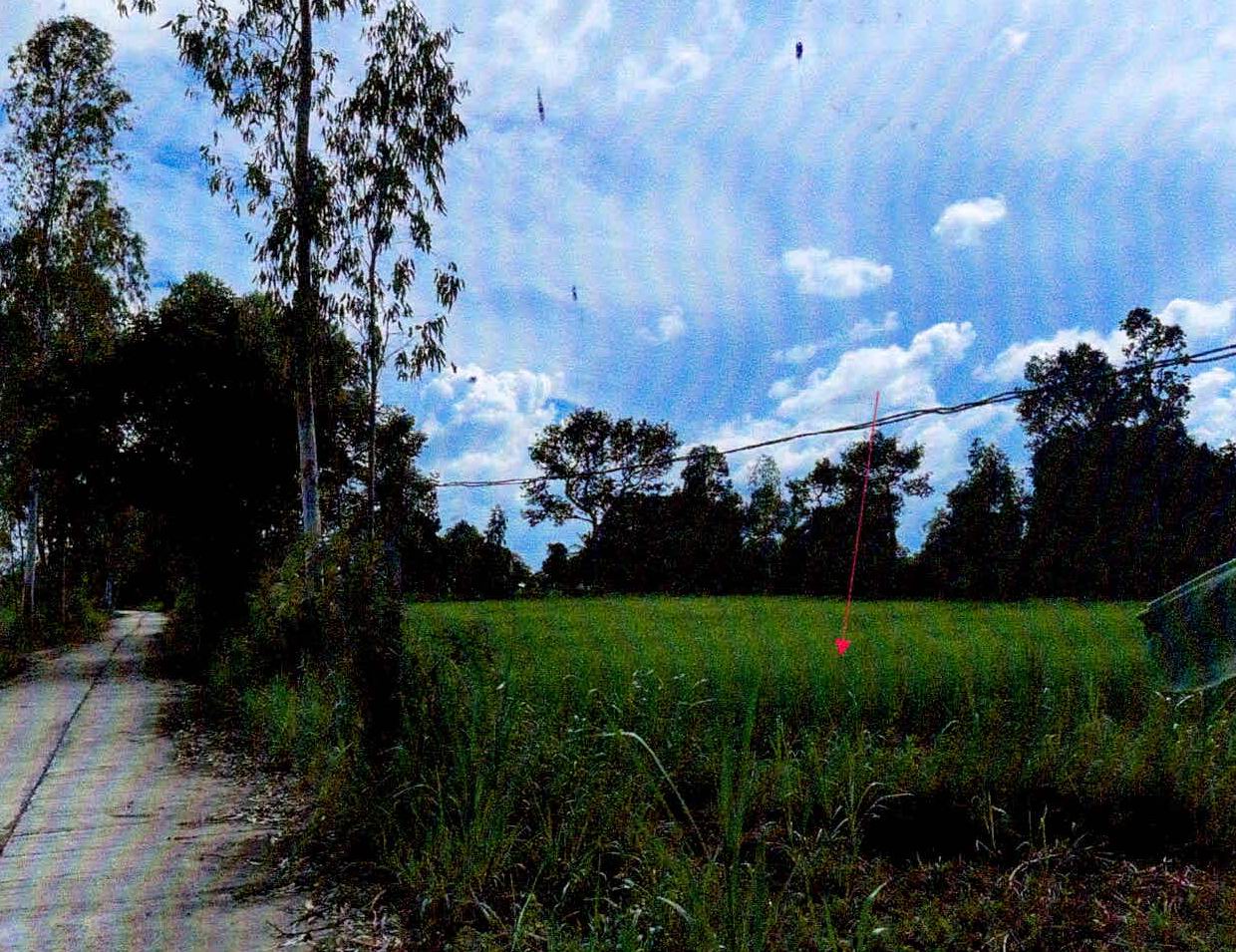 รูปที่ดินว่างเปล่า หนองไฮ เมืองศรีสะเกษ ศรีสะเกษ