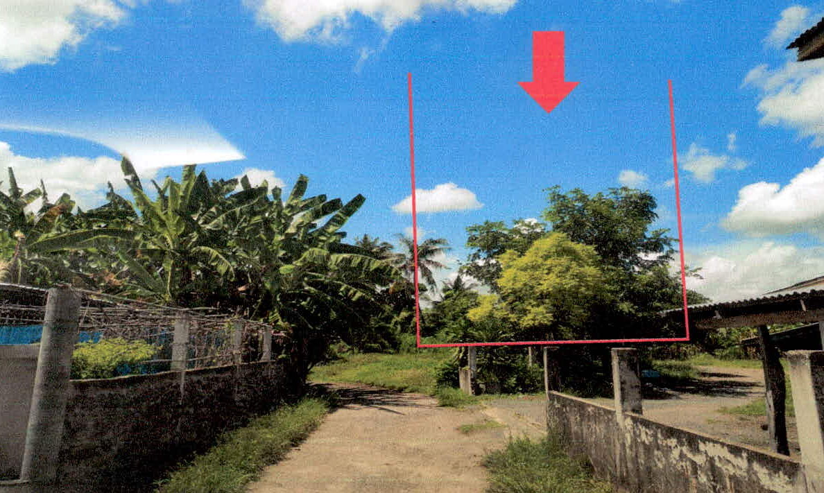 รูปที่ดินว่างเปล่า นาบัว เมืองสุรินทร์ สุรินทร์