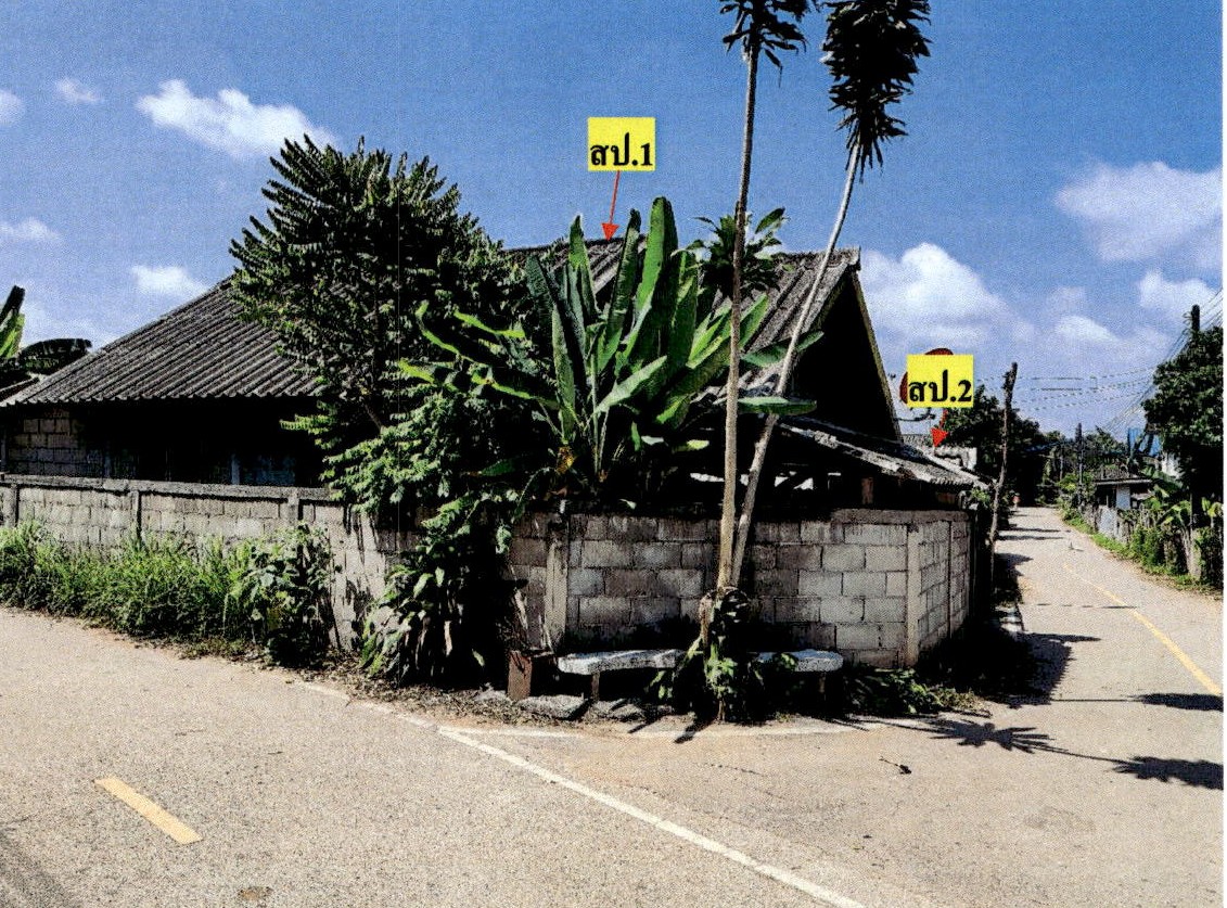 รูปที่ดินพร้อมสิ่งปลูกสร้าง หัวเสือ แม่ทะ ลำปาง