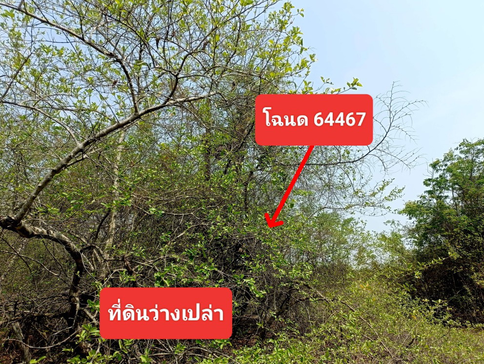 รูปที่ดินว่างเปล่า ธงชัยเหนือ ปักธงชัย นครราชสีมา