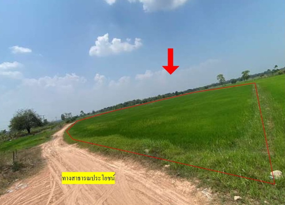 รูปที่ดินว่างเปล่า โคกสี เมืองขอนแก่น ขอนแก่น