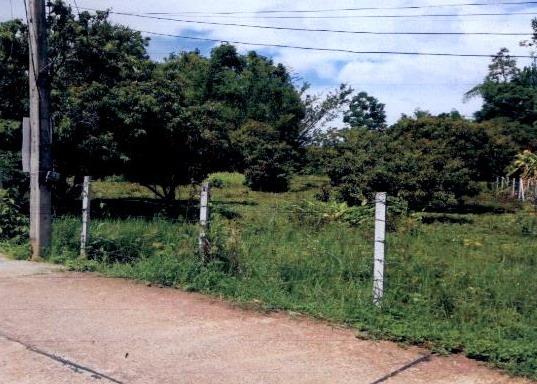 รูปที่ดินว่างเปล่า หนองควาย หางดง เชียงใหม่