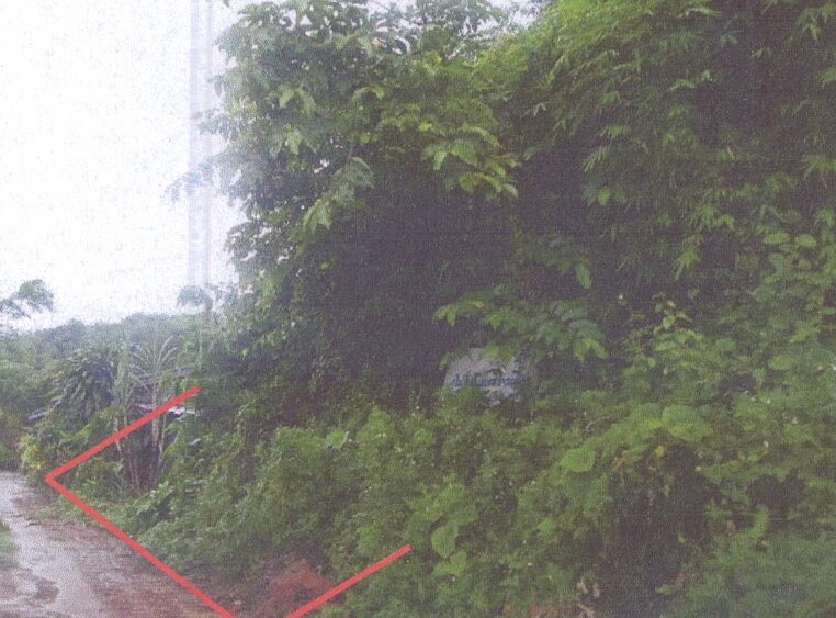 รูปที่ดินว่างเปล่า แม่สรวย แม่สรวย เชียงราย